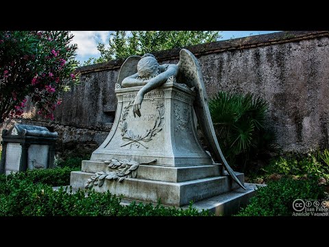 Видео: Плачущий Ангел.Миф или реальность.