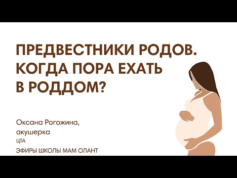 Видео: ПРЕДВЕСТНИКИ РОДОВ. КОГДА ПОРА ЕХАТЬ В РОДДОМ?