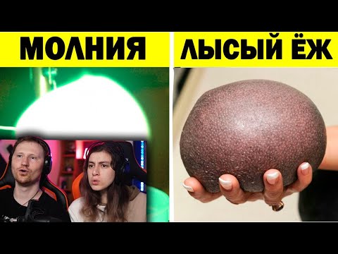 Видео: Вещи, про которые все слышали, но мало кто видел | РЕАКЦИЯ на Фактория