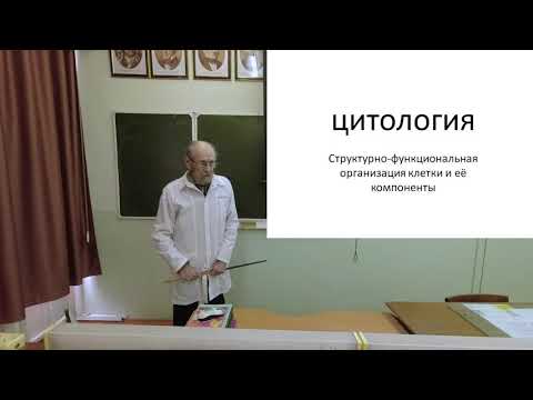 Видео: Клетка и неклеточные структуры. Цитоплазма