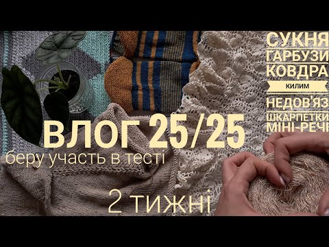 Видео: 🍁ВЛОГ 25/25 🍂 Багато проєктів, покупки, осінній настрій, нова поличка для квітів, довгов'язи 🧶☕️♥️
