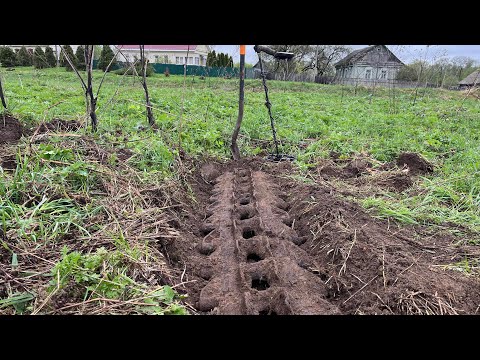 Видео: ПЕРВАЯ ЛЕНТА ТРАКОВ СЕЗОНА И ТОПОВЫЕ НАХОДКИ НА КРАЮ ДЕРЕВНИ!