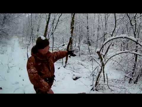 Видео: Удачная охота на лису и немного "жести"