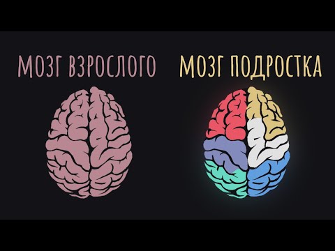 Видео: Вот почему подростком быть трудно. Всё дело в мозге / #ТЕДсаммари