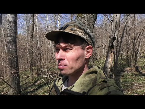 Видео: Начало сезона 2022 г. Настройки xp Deus в лесу для поиска средних и крупных монет