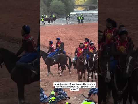 Видео: Көк бөрү. Алымбек Датканын 225 жылдыгы. Алай. Гүлчө. 