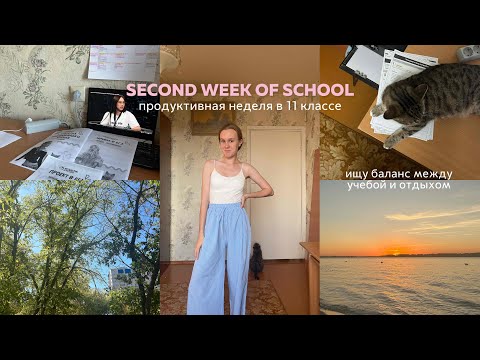 Видео: VLOG SECOND WEEKEND OF SCHOOL: подготовка к экзаменам, распаковка посылки, последние теплые деньки✨