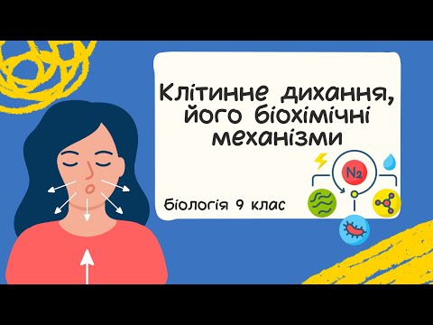 Видео: Біологія 9 клас  Клітинне дихання, його біохімічні механізми