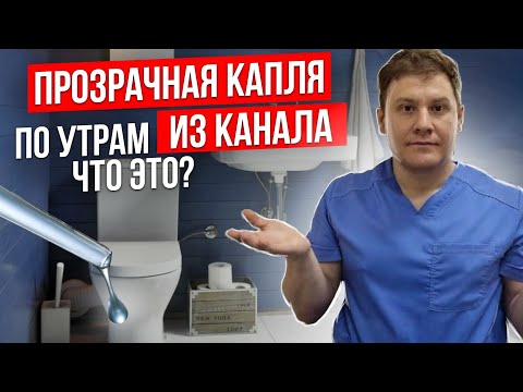 Видео: Прозрачная капля по утрам// Что это может быть ?