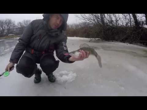 Видео: Судак на балансир