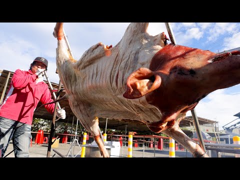 Видео: Вы когда-нибудь видели 120-килограммового поросёнка? Приготовление целого жареного поросёнка