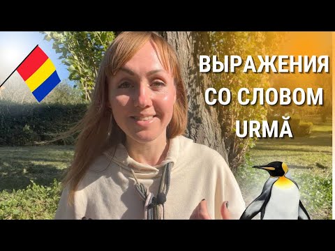 Видео: Выражения со словом Urmă