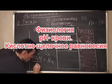 Видео: Физиология крови. РН-крови. КЩР. Буферная система крови.#45