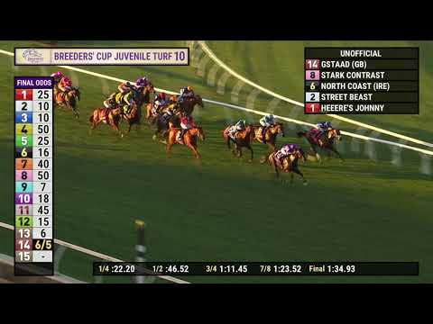 Видео: Гштаад (Великобритания) побеждает в гонке BC Juvenile Turf G.I. 10 в Дел Мар 31 октября 2025 года