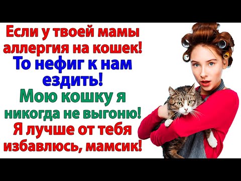 Видео: Если у свекрови аллергия на кошек — пусть лечится у психиатра! А не лезет в мой дом! женские истории