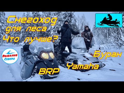 Видео: YAMAHA, BRP Ski-doo или БУРАН?  СНЕГОХОД ДЛЯ ЛЕСА. КАКОЙ ЛУЧШЕ ?   #Рыболов_Севера