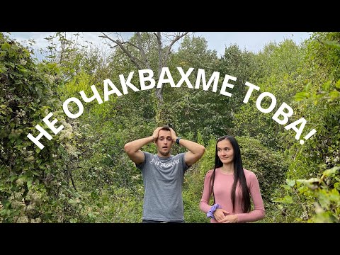 Видео: ДВОРЪТ НИ | Живот в българско село ЕП.2