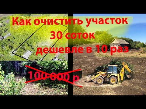 Видео: Как очистить участок от деревьев и поросли легко и просто