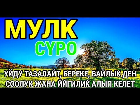 Видео: СҮРӨ АЛ МҮЛК| АР КАНДАЙ ЖАМАНДЫКТАН ЖАНА КӨЗ ТИЙҮҮДӨН КОРГОЙТ, ООМАТ, БЕРЕКЕ ЖАНА ЫРЫСКЫ АЛЫП КЕЛЕТ