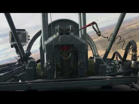 Видео: Л-29 Вяземский Борт №61