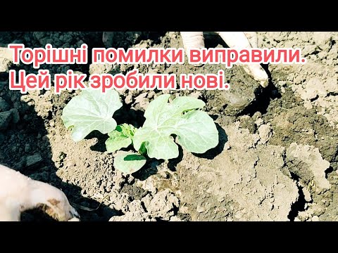 Видео: Помилки розсадного сезону.