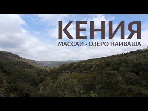 Видео: МАССАИ • ОЗЕРО НАИВАША • НАЙРОБИ | КЕНИЯ