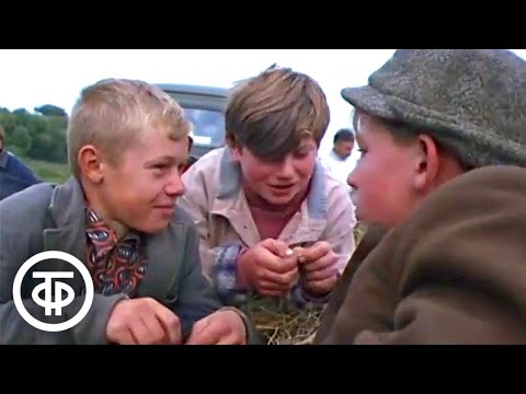 Видео: Ивовый куст. Видеозарисовка о живописных берегах реки Оки, городе Тарусе (1971)