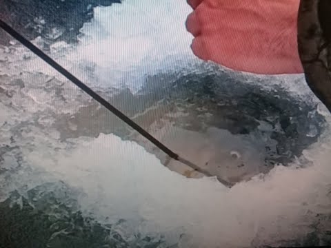 Видео: Зимняя ловля карпа, щуки со льда 2020-2021!!! Карп везунчик, утащил удочку!!! А поймали усатого!