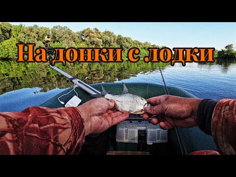 Видео: РЫБАЛКА НА ДОНКИ С ЛОДКИ. НОЧЬ на РЕКЕ в надежде поймать СОМА