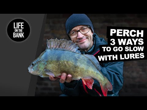 Видео: ЛОВЛЯ ОКУНЯ ЗИМОЙ | 3 СПОСОБА ЛОВИТЬ МЕДЛЕННО