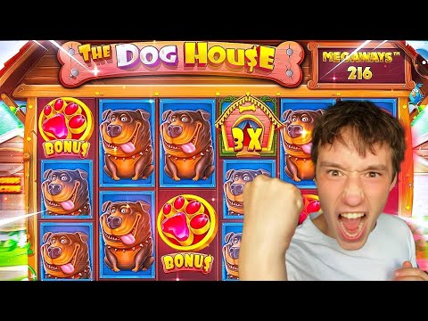 Видео: THE DOG HOUSE MEGAWAYS ЖЕСТКО ПОБРИЛ МЕНЯ!ПОКУПАЮ ДОРОГИЕ БОНУСКИ В THE DOG HOUSE MEGAWAYS!