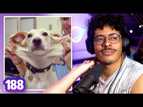 Видео: Наука о синдроме Элерса-Данлоса | Подкаст Sci Guys № 188