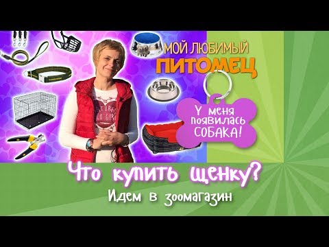 Видео: Что нам нужно для щенка? Обзор товаров в зоомагазине.