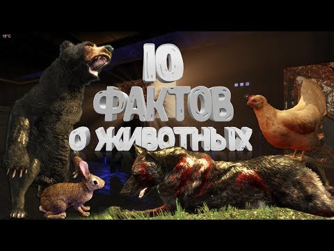 Видео: [Subsistence] 10 фактов о животных, которых вы не знали!