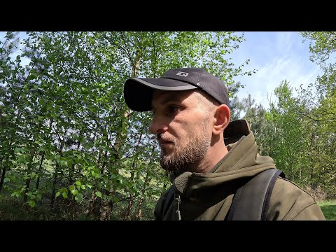 Видео: В Поиске Маслят!