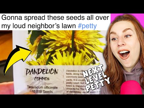 Видео: Мелкие людишки мстят — РЕАКЦИЯ