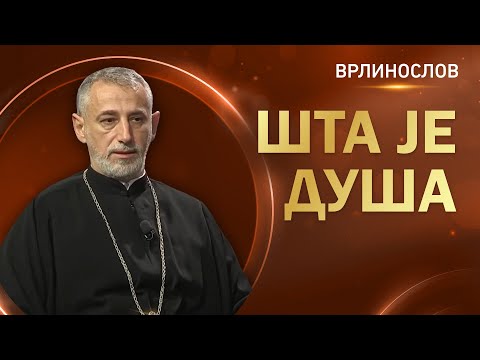 Видео: Врлинослов - Шта је душа, протојереј-ставрофор проф. др Владимир Ступар