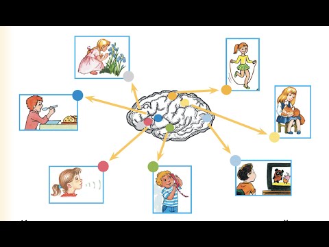Видео: "Органы чувств и нервная система", Окружающий мир 3 класс ч.2, с.35-43, Планета знаний.