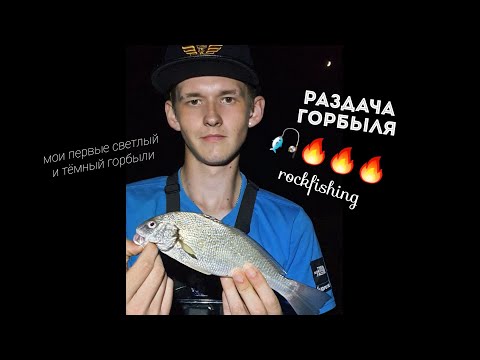 Видео: Раздача горбыля/мои первые тёмный и светлый горбыли/рыбалка на черном море/rockfishing/микроджиг/bsf