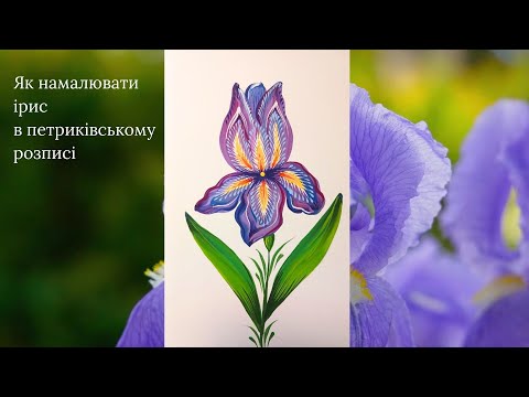 Видео: Як намалювати ірис в петриківському розписі, майстер клас