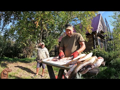 Видео: Я ИСКАЛ ИХ НЕСКОЛЬКО ЛЕТ!!! Эпичная рыбалка с Андреем Новиковым! Часть 2. #рыбалка