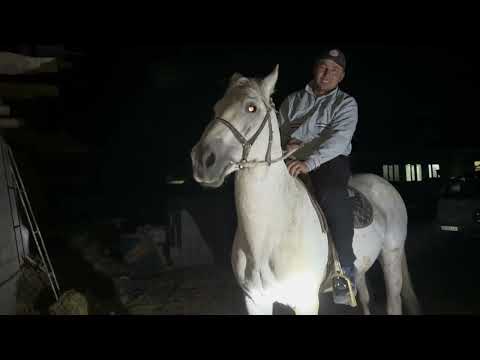 Видео: Жанторо93 #kyrgyzstan