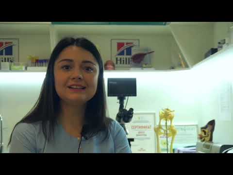 Видео: Какой препарат выбрать для обработки от блох и клещей ?