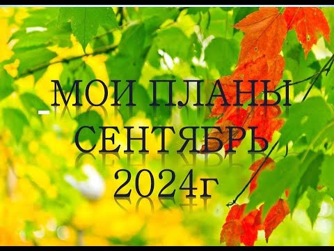 Видео: Мои ПЛАНЫ в раскрасках на Сентябрь 2024г 👍🍂🍁🍄