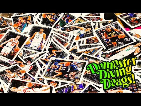 Видео: Рыться в мусорных баках. Какой стыд!!!