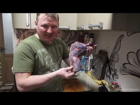 Видео: Добыл зайца. Приготовил из него пельмени.