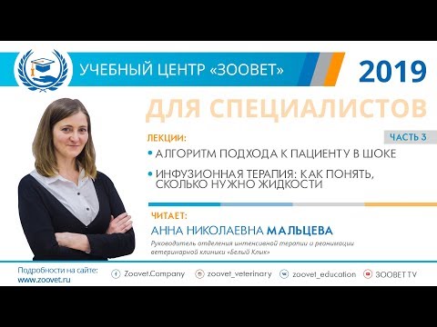 Видео: А.Н. Мальцева в УЦ «Зоовет» | Алгоритм подхода к пациенту в шоке | ч. 3/3