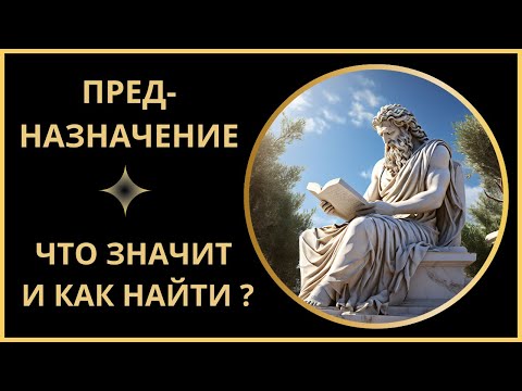 Видео: Предназначение