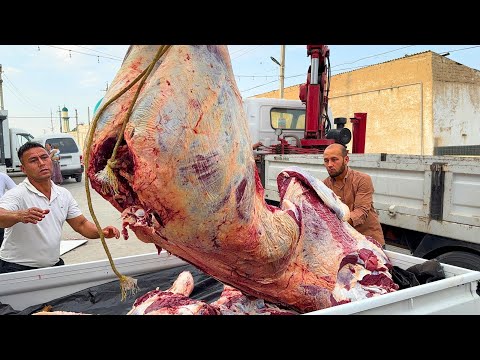 Видео: ШОК!! 1001 КГ МЯСА ЧЕРНОГО БЫКА на 2200 штук BOSIM BOBO тандыр самсы