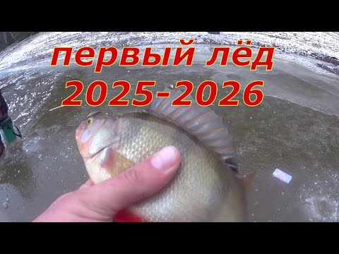 Видео: Первый лёд 2025-2026.